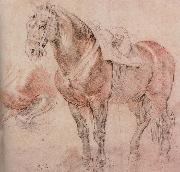 Peter Paul Rubens Horse Spain oil painting artist